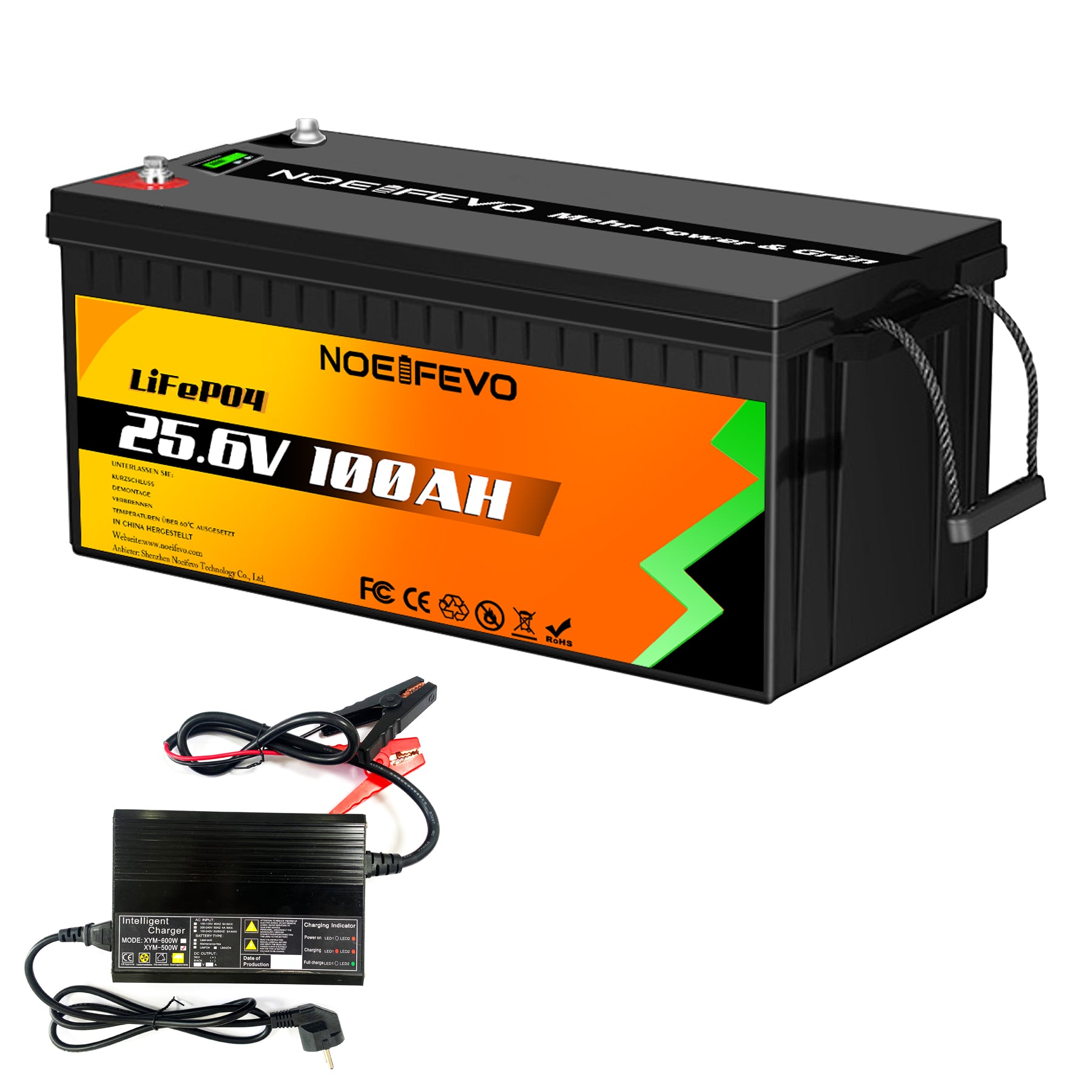 Litime 12V 100Ah LiFePO4 Lithium Battery 100A BMS for RV Off-grid